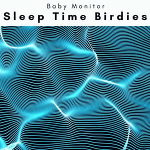 4 Sleep Time Birdies - Baby Monitor