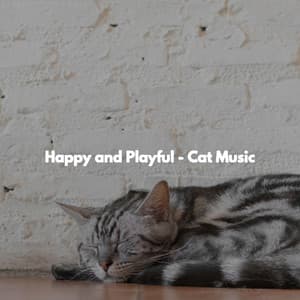 Happy and Playful - Cat Music - #Relaxing Radio