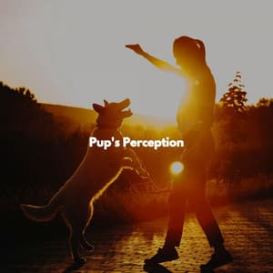 Pup's Perception - Relaxed Bossa Ambiance