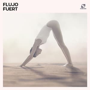 Flujo Fuert - Musica de Yoga