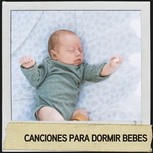 Canciones para Dormir Bebes: Pacífico ambiente para un sueño tranquilo - Relajacion