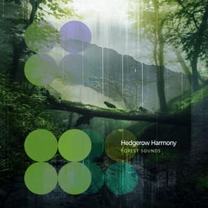 Hedgerow Harmony - Forest Sounds