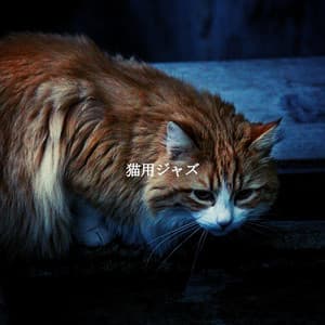 猫用ジャズ - Jazz Ambiance