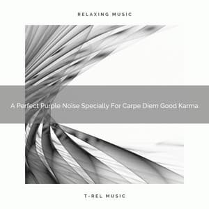 A Perfect Purple Noise Specially For Carpe Diem Good Karma - White Noise Healing Center