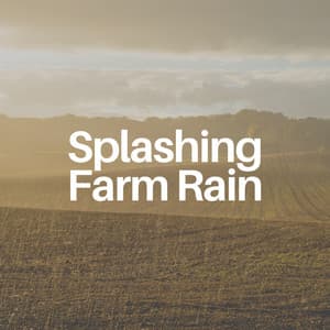 Splashing Farm Rain - Rain Sounds for Relaxation