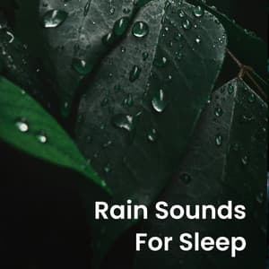 Rain Sounds for Sleep - National Geographic Nature Sounds