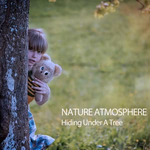 Nature Atmosphere: Hiding Under A Tree - Christian Yoga Music
