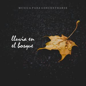 Música para Concentrarse: Lluvia en el Bosque - Musica Para Leer