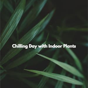 Chilling Day with Indoor Plants - Jazz Classique