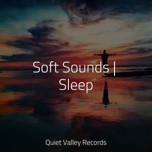 Soft Sounds | Sleep - Nature Sounds Radio