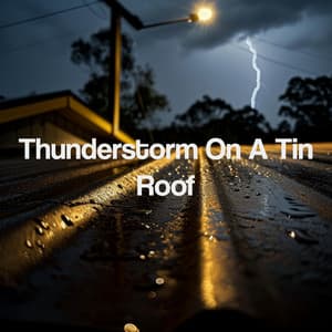 Thunderstorm On A Tin Roof - Thunderstorm Sound Bank