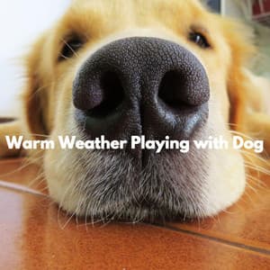 Warm Weather Playing with Dog - Cafe Jazz Duo