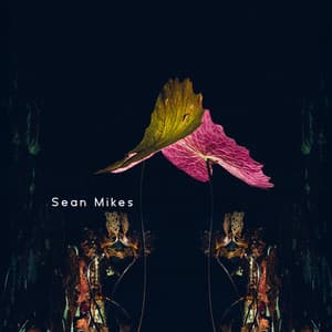 Nothingness - Sean Mikes