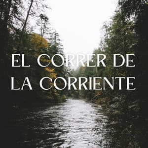El Correr De La Corriente - Sonidos de agua dulce para la paz interior