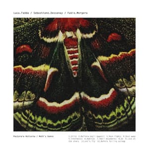 Moth's Dance / Pastorale Notturna - Luca Fadda