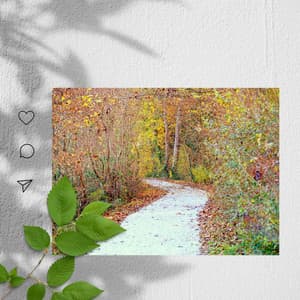 Feelings for Fresh Spring - Chill Music for Reading