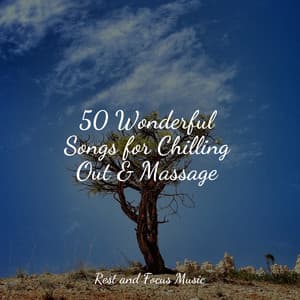 50 Wonderful Songs for Chilling Out & Massage - Sleep Sounds of Nature