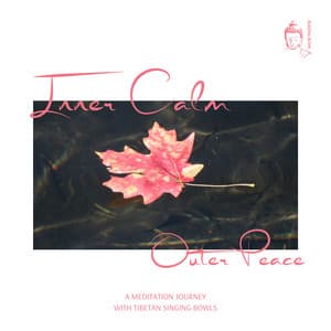 Inner Calm, Outer Peace: A Meditation Journey with Tibetan Singing Bowls - Buddha Bowl