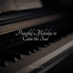 Chill Piano Melodies for Reading - Yoga Piano Music