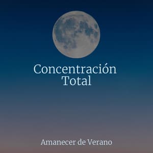 Concentración Total - Meditación Maestro