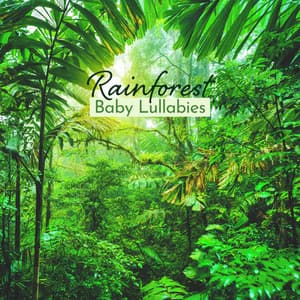 Rainforest Baby Lullabies - Soothing Sleep Music, Calm Nature Sounds to Help Your Baby Sleep - Rain Music!