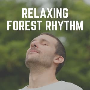 Relaxing Forest Rhythm - Naturalis