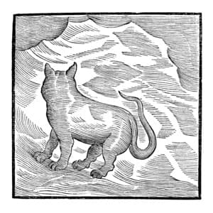 Kansai Bruises - Valentina Magaletti