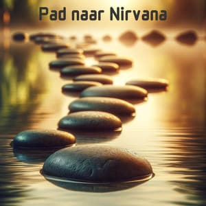 Pad naar Nirvana: Tibetaanse Helende Muziek voor Innerlijke Vrede en Diepe Meditatie - Ontspanning Muziek Club