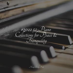 50 Deeply Tranquil and Comforting Sounds - Little Magic Piano