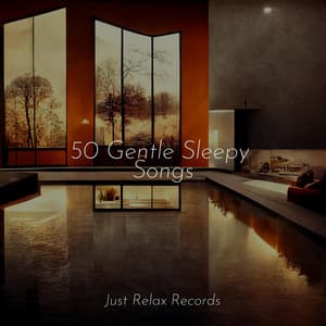 50 Gentle Sleepy Songs - Easy Sleep Music