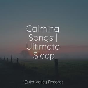 Calming Songs | Ultimate Sleep - Relajación