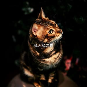 私と私の猫 - French Jazz Lounge