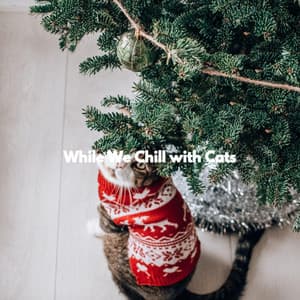 While We Chill with Cats - Musique du Matin