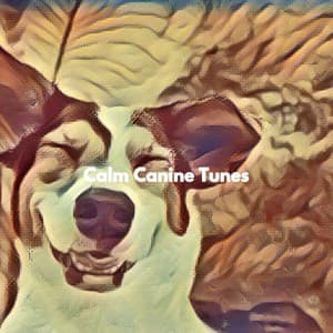 Calm Canine Tunes - Popular Jazz Coffee Break