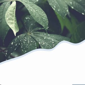 Energetic - Musique du Dimanche Matin