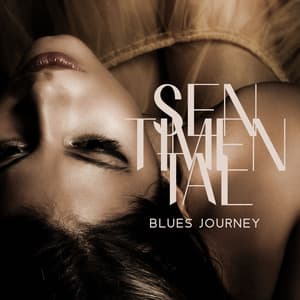 Sentimental Blues Journey - Good City Music Band