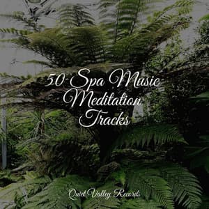 50 Spa Music Meditation Tracks - Deep Sleep FX