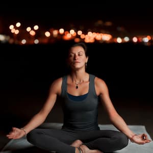 Nighttime Nature's Harmony: Crickets at Night Meditation Sounds ASMR - The Meditations