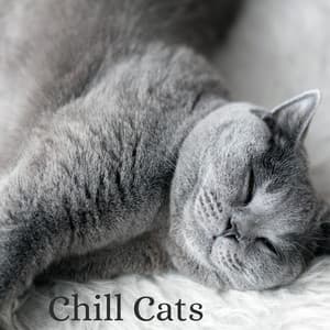 Chill Cats - Música para dormir Gatos