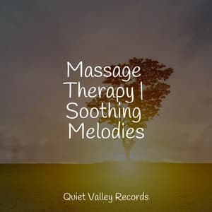 Massage Therapy | Soothing Melodies - Rain Drops for Sleep