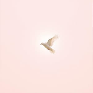 Solo Tu Presencia - Grupo Pentecostes