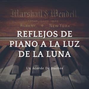 Reflejos De Piano A La Luz De La Luna: Un Acorde De Sueños - Cafetería Piano