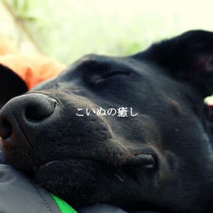 こいぬの癒し - Slow Smooth Jazz