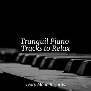 Tranquil Piano Tracks to Relax - Ivory Mood