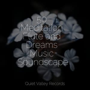 50 Meditation Flute and Dreams Music Soundscapes - Rain Man Sounds