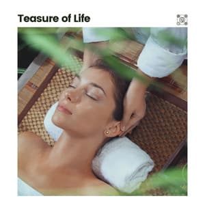 Teasure of Life - Calming Music Academy