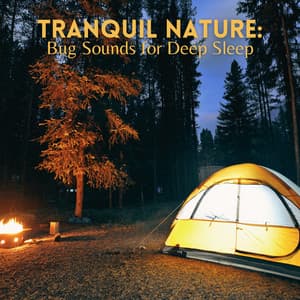 Tranquil Nature: Bug Sounds for Deep Sleep - Night Crickets