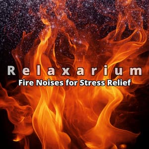Fire Noises for Stress Relief - Relaxarium