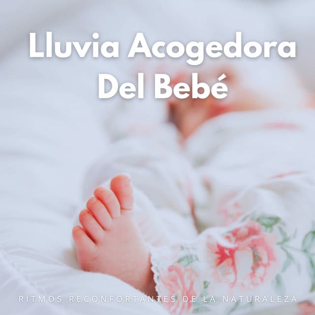 Lluvia Acogedora Del Bebé: Ritmos Reconfortantes De La Naturaleza - Siente El Clima