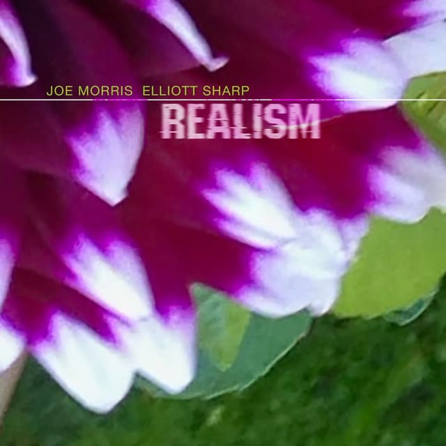 Realism - Joe Morris